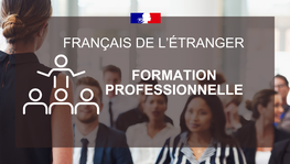 La formation professionnelle des français de l'étranger